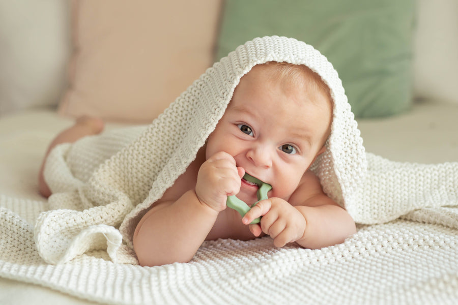 da3f8bde34705895564ca11e2734dc55