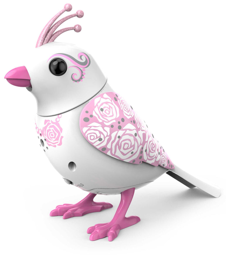 da192538ee7dc90d2dd9108de75275e9