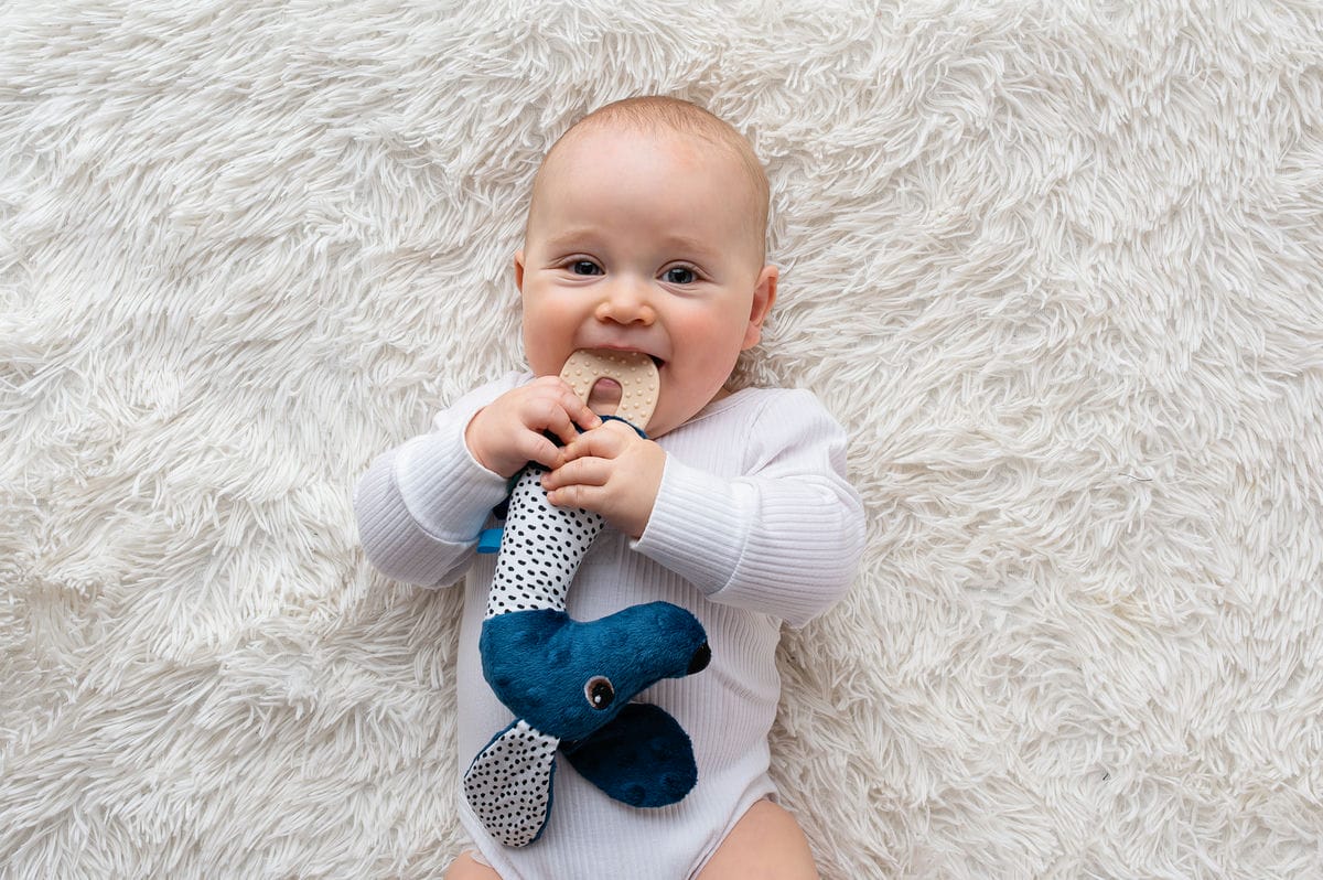 8b2e12b011429dc1c7c90639cf5e5d9e