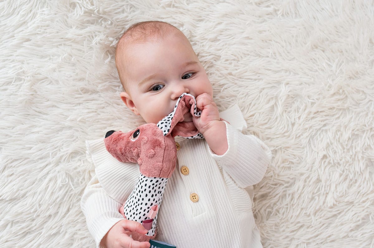 713fb2f72fe6886409eea4fb76cded5f