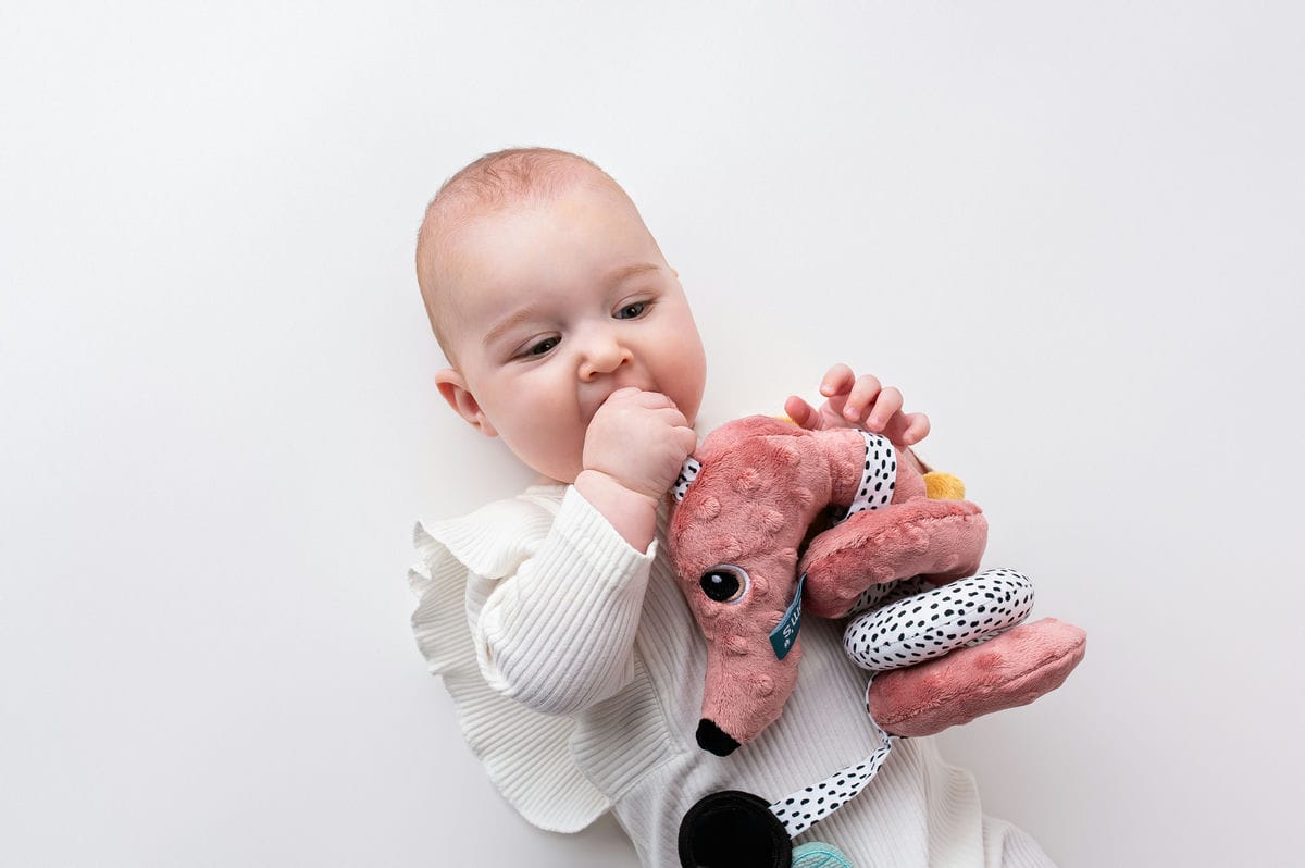 0ea6a0bd7bb5dda9d20486e57d8f5fbe