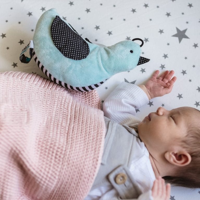 05584504f2524a914d4f9279fb11ac2e