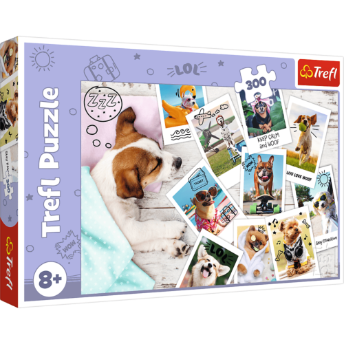 e60d6c671d47cad99d67b61de2b6454a