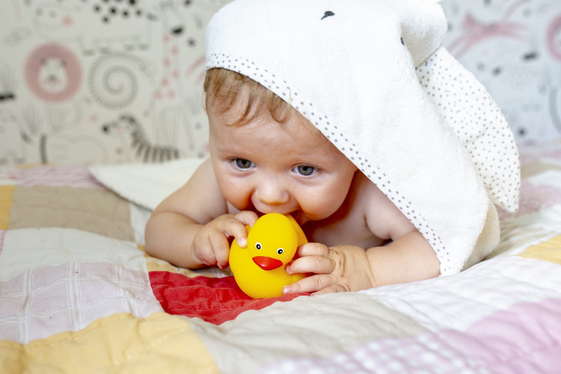 da800fb0ca858db4486d28e79e3370bd