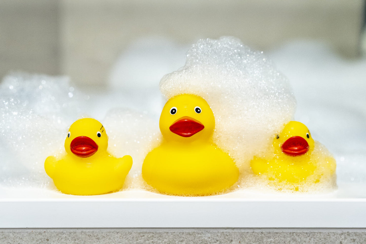 e0267ff0a20e67dde607d3822cb612dd