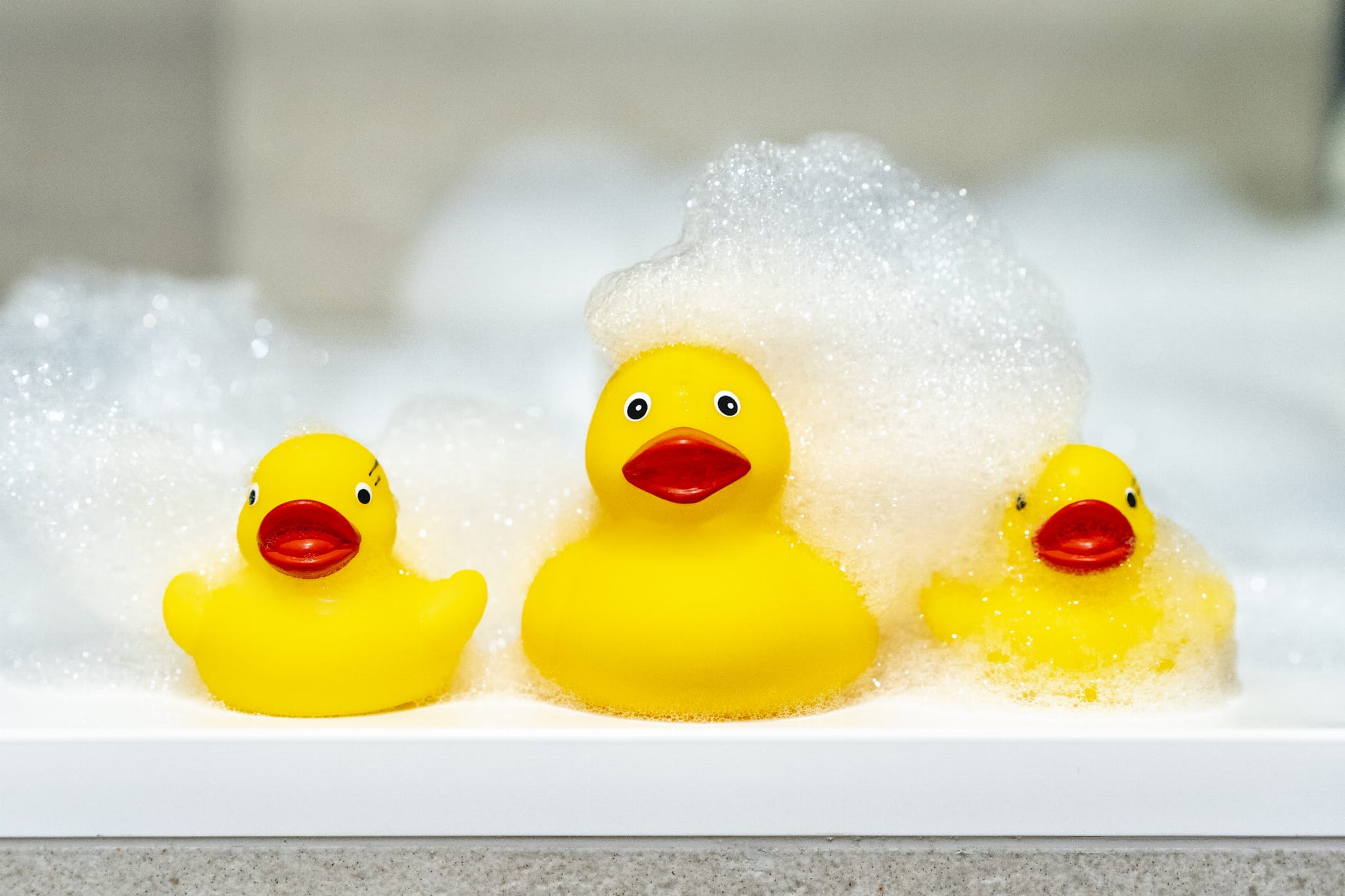 e0267ff0a20e67dde607d3822cb612dd