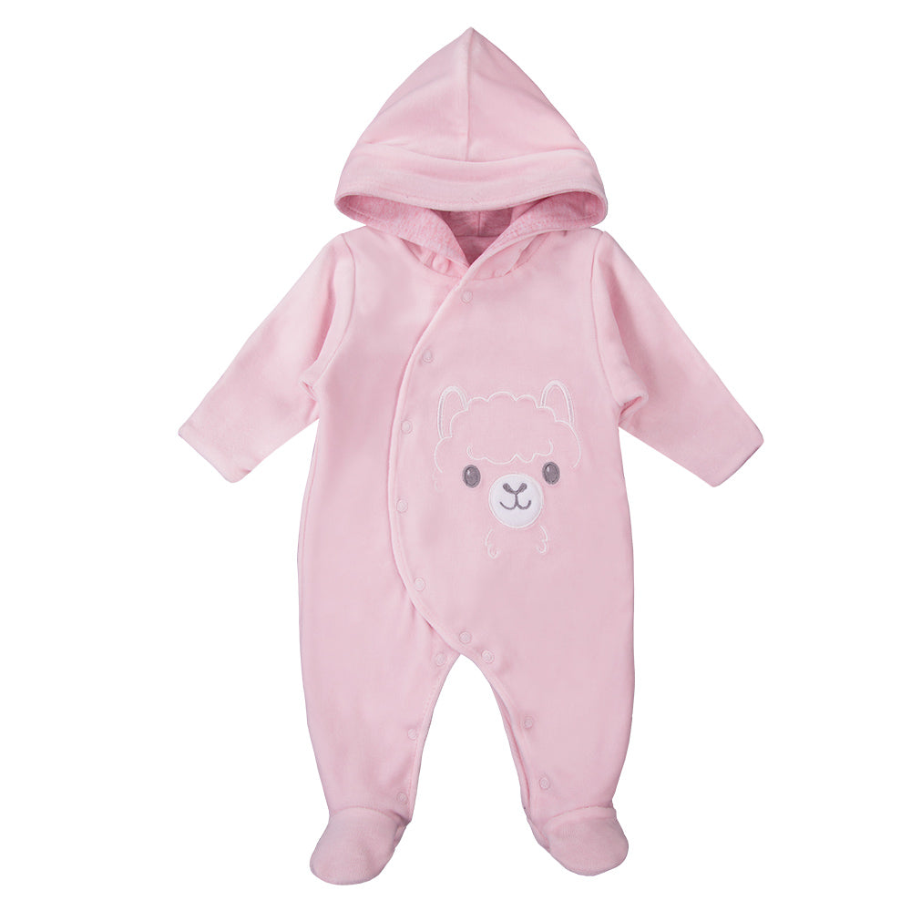 2c4954979b6c24e0f97a975fb5c59ba3