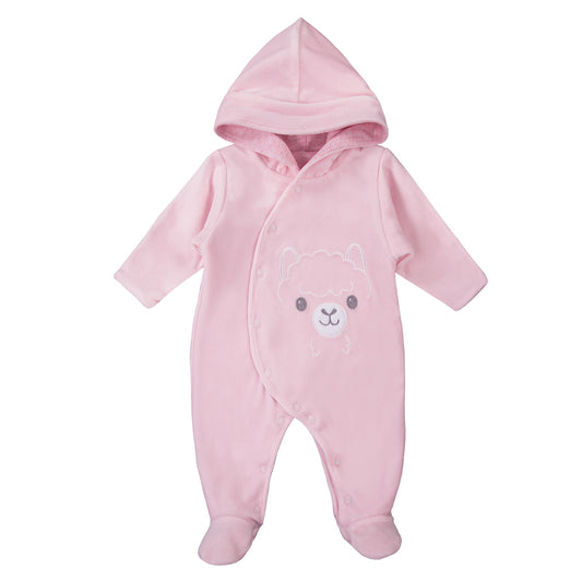 2c4954979b6c24e0f97a975fb5c59ba3