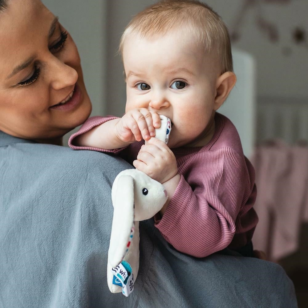 739d4374f77e646acbe63d9db4ad183b