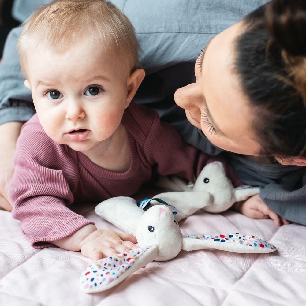 7344a5e4d6bbeb42bb840c3d0090eacb