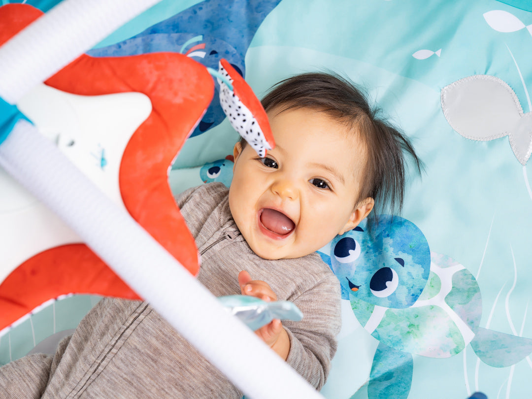 53259d70c77f1cdc9466c893ceebd1d6