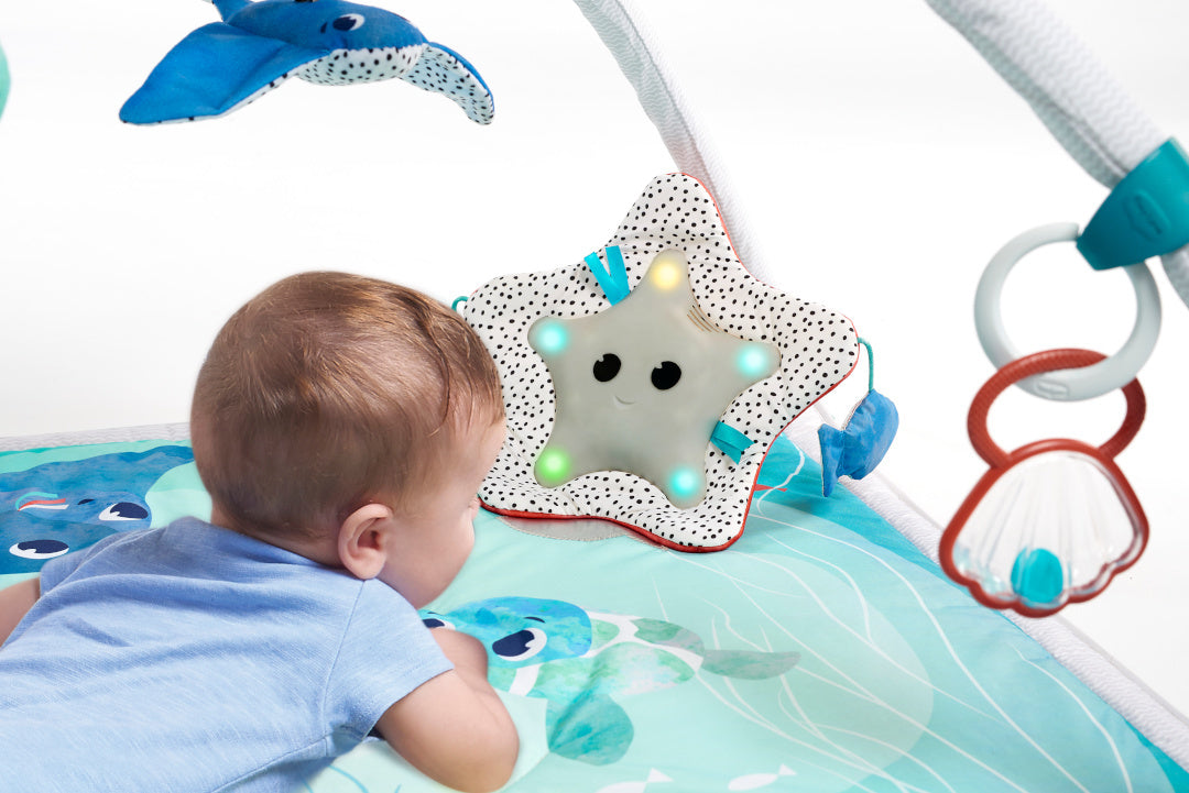 dc383f2c4fc12518c933badd6426c2b5