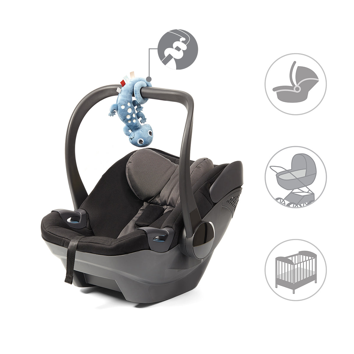 062f13f7d24a1323dfb836fb0f370d18