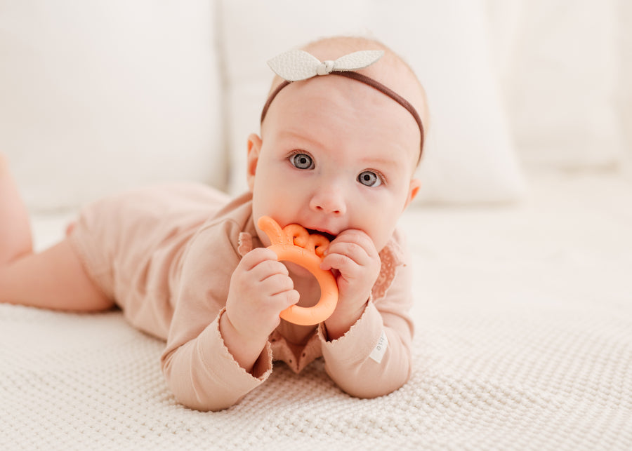 d31cbe4191c603cc0adb6e37d91649f2