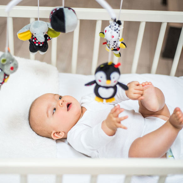 0a478c09a360390864f2704a6e37c4b6