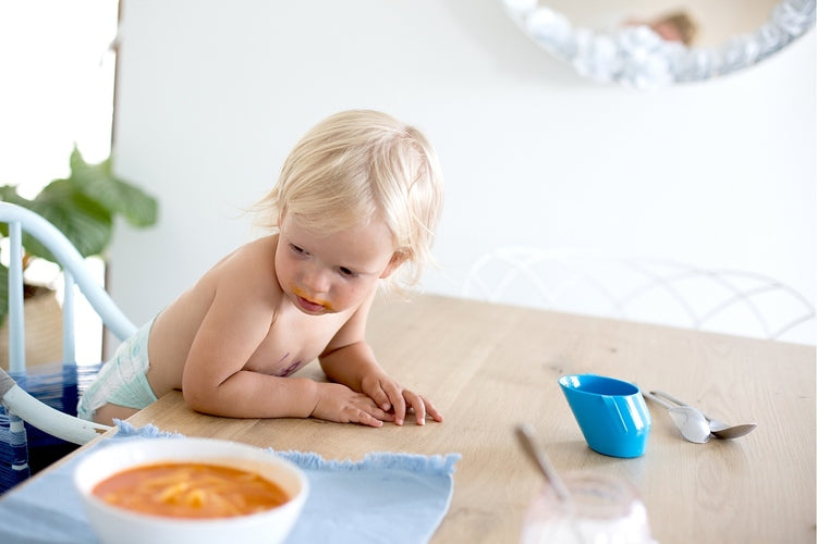 079bde5b2821429da9edf03fdd1cbc03