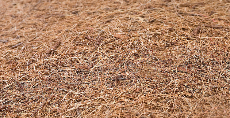 d49feef3d19034406ca8f79c2a526313