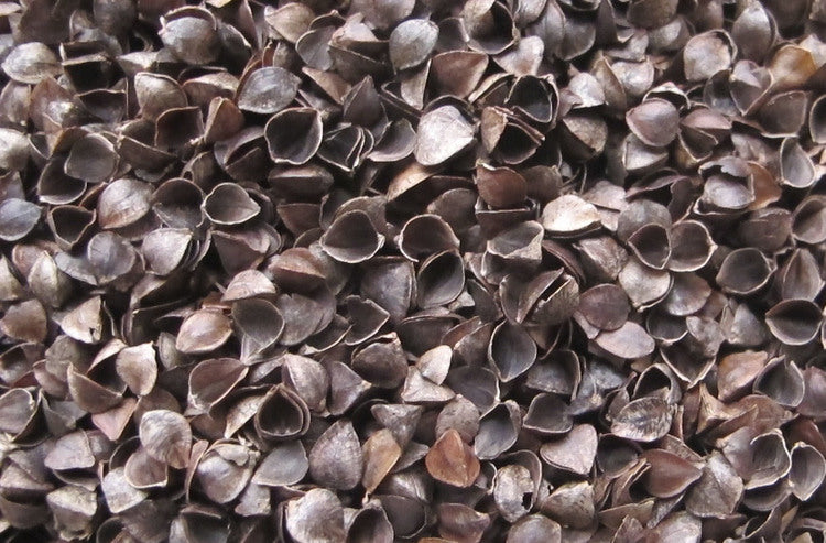 45ceffe46c34ba9f8b080171ade32c54