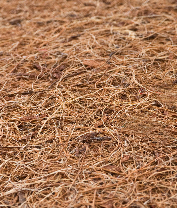 6ce068152e2b44a1c15c24124791f53c