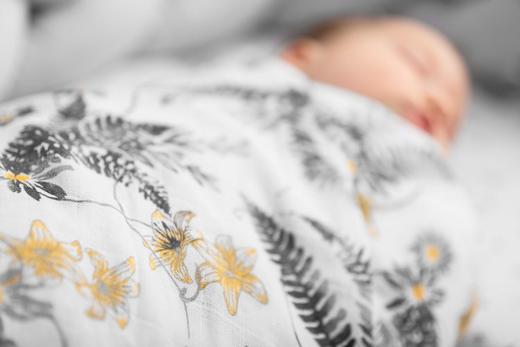 5a64f1133f92b703c9c386470eff42ac