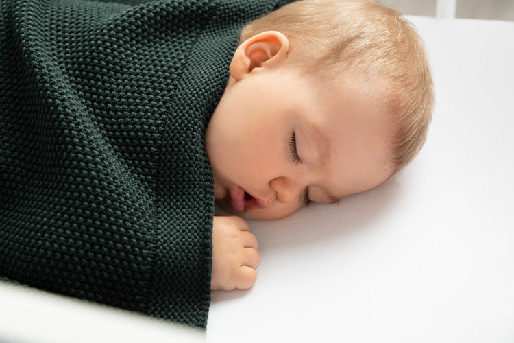 69e6e6123067804737ed7a04413c5ea7