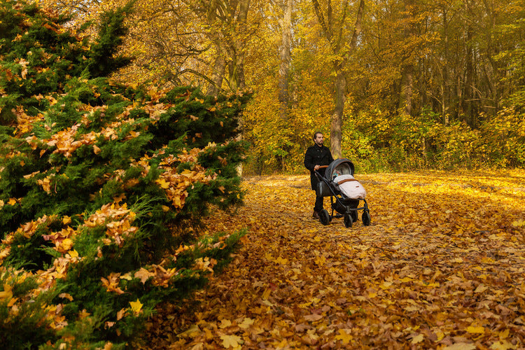 896135c9838dfcfc0251e79c19ab7bed