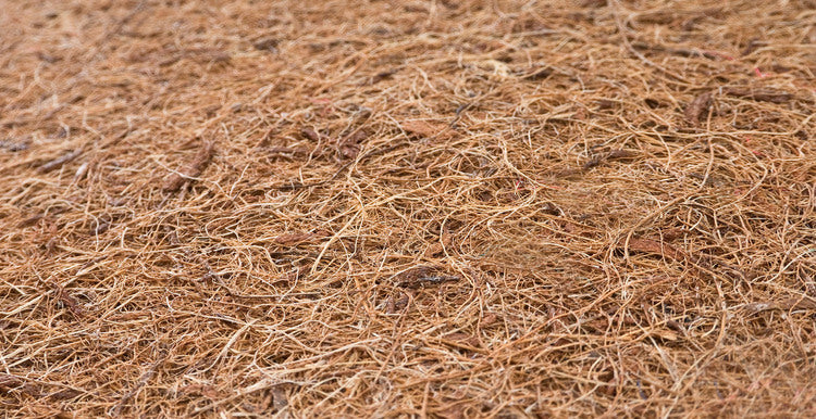 ff283e0c2b5fd9cf0469972e3a2fc5af