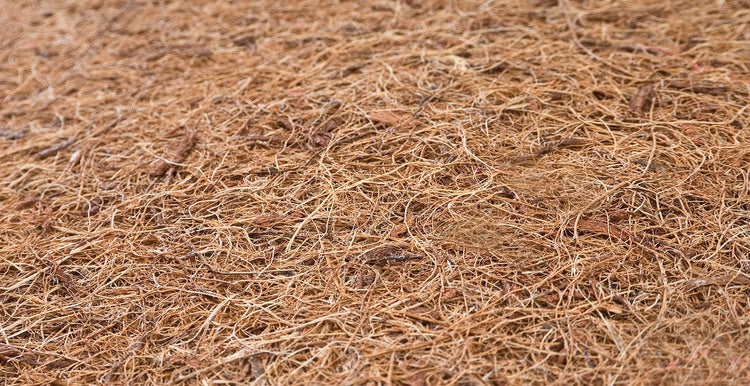 c512805d3dbcb45e1971455738e50fd9