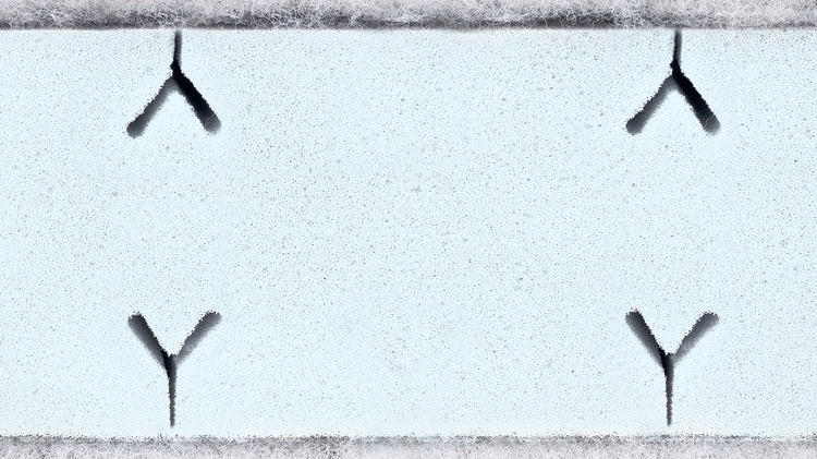 e5ec842684400dbc8ebe3f3b05a3b5a2