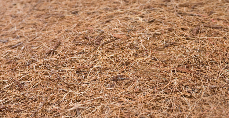 8e669714f4e946ea00bbea5b84efc931