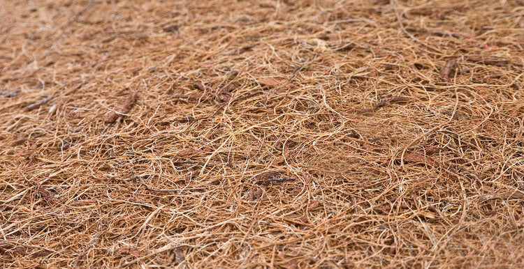 c60a36fe10a2a9452391a5e650309962