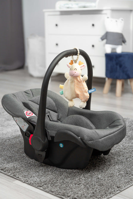 6b6e62246a961c6c8a9290b48376b72e