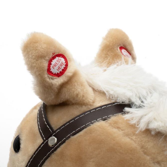 0d63f13e5823f6440b6983be431a5c49