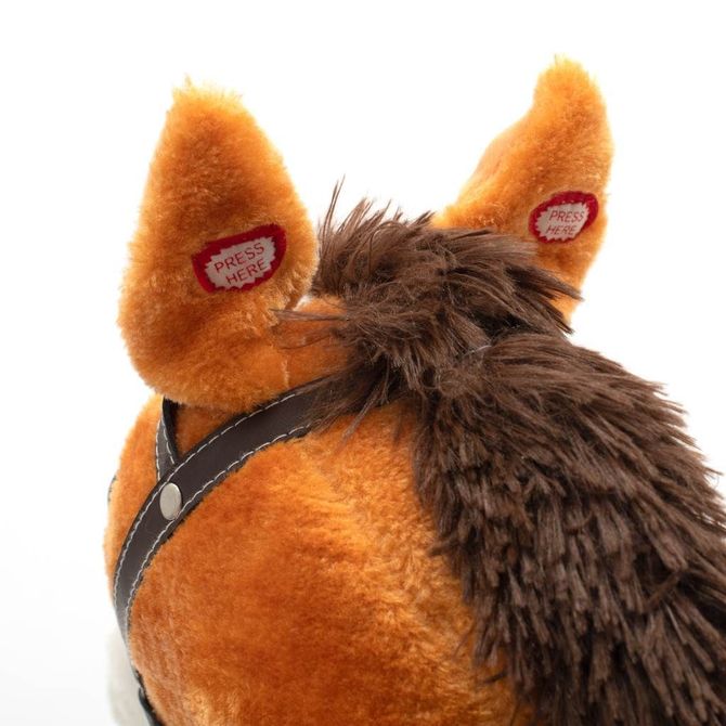 2f04ab637f7359dbd9584bfb775bd40a