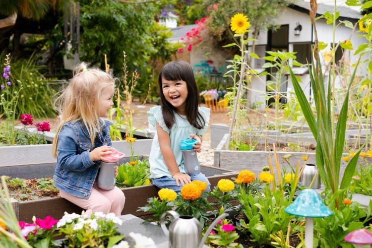 70a337029880708cf7ae5a57fad3ee95