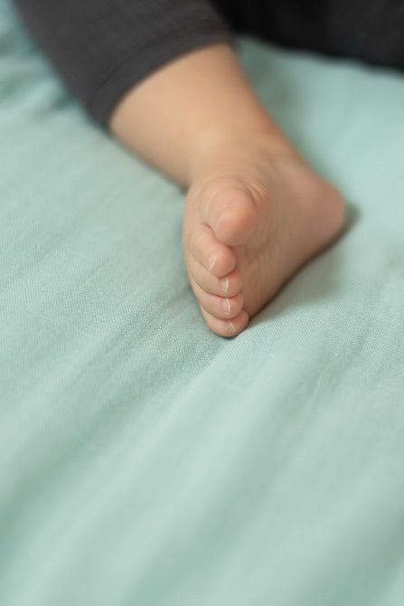 d7aca191479a3030d8a4f7a6d6932c26