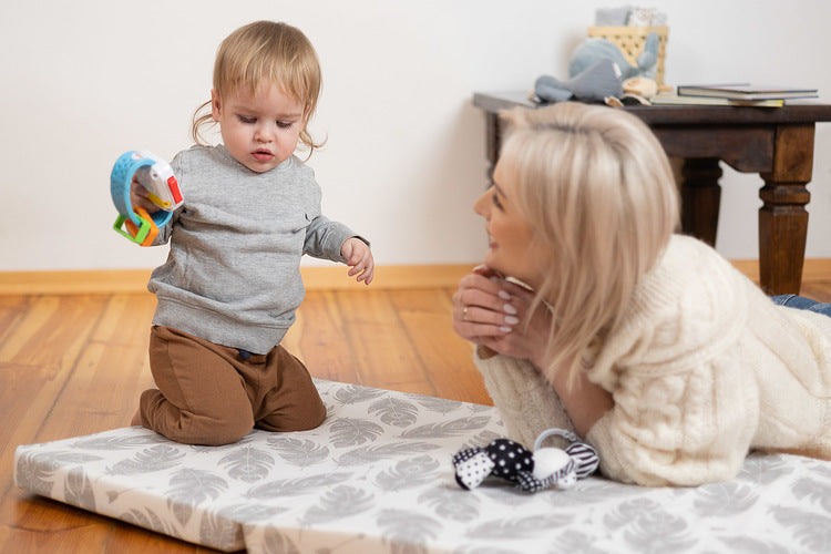 2cee189dec311805ea2f2311d7c3ad51